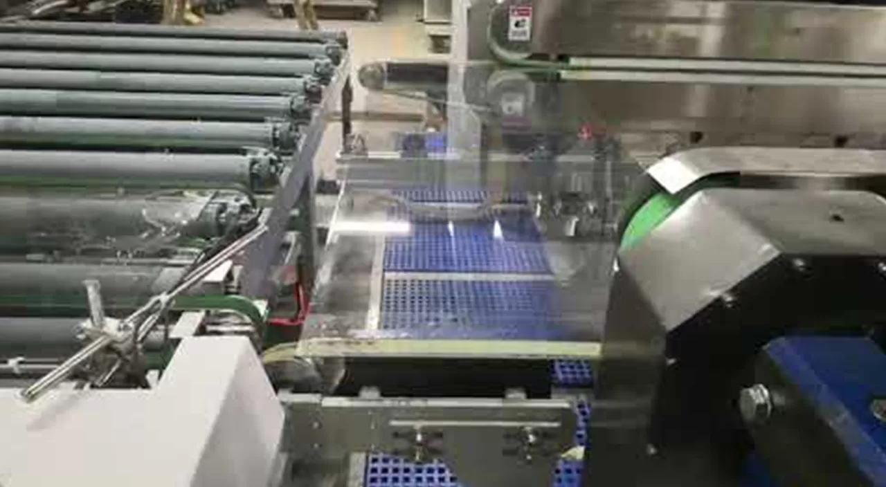 Glass Straight Line Double Edger Line HSDN（L Type） Video