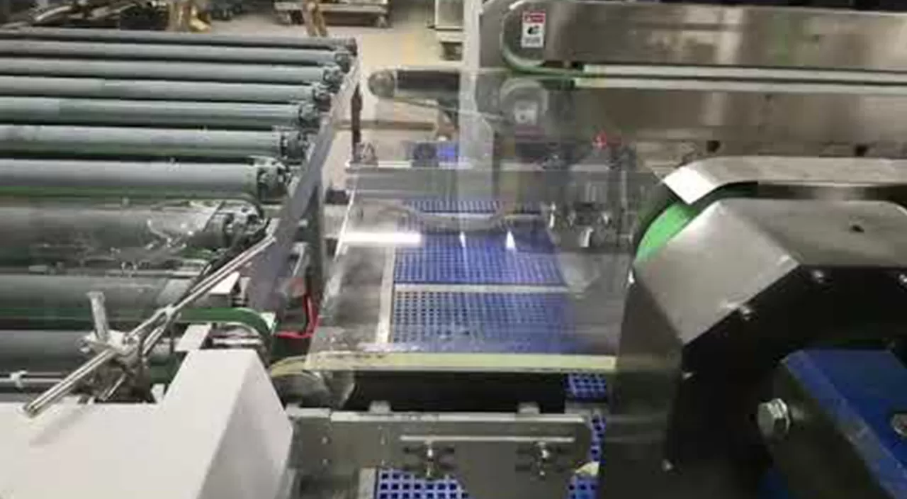 Straight Line Double Round Edging Machine Video