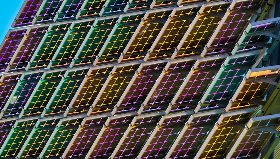 Regional Distribution and Competitive Landscape